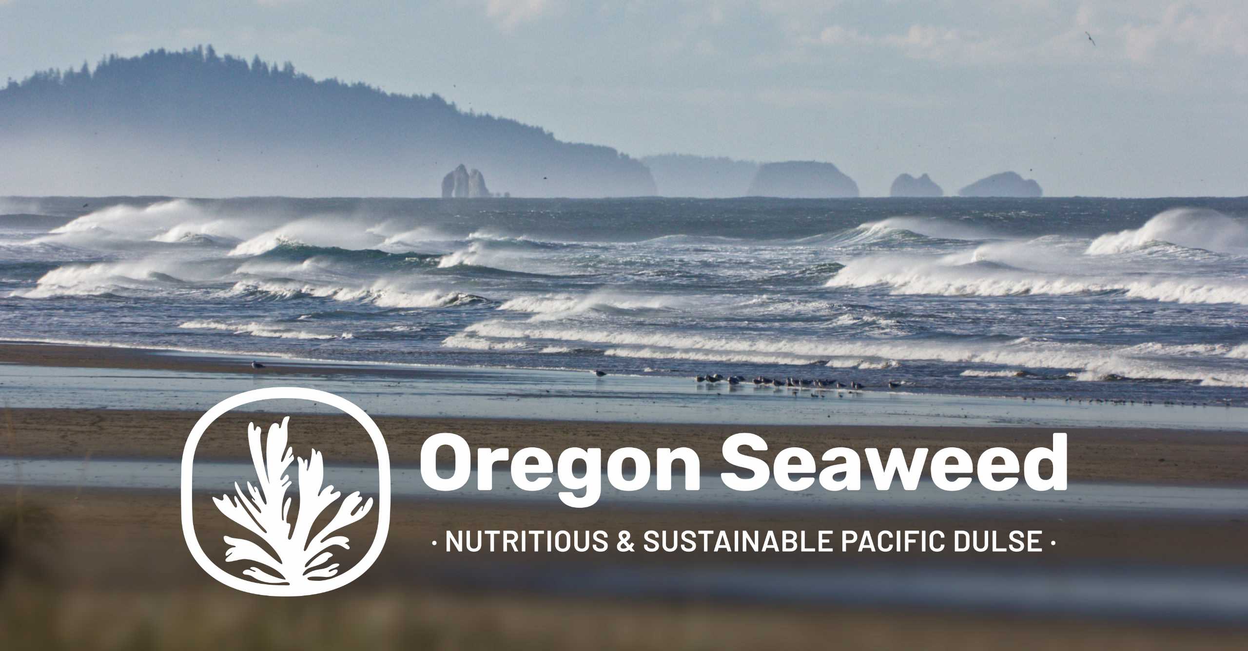 Our Team Oregon Seaweed