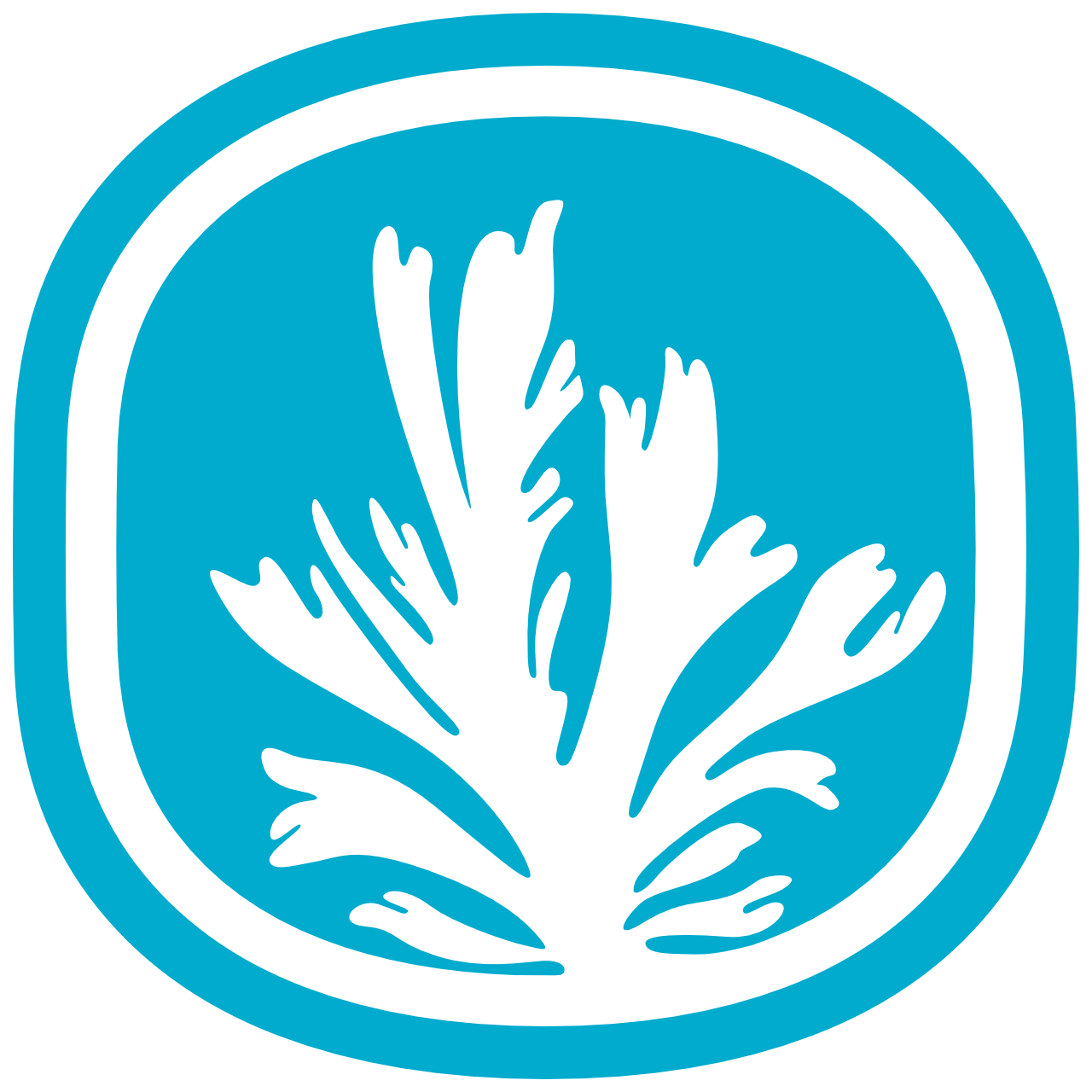 oregon seaweed circle pacific blue 2