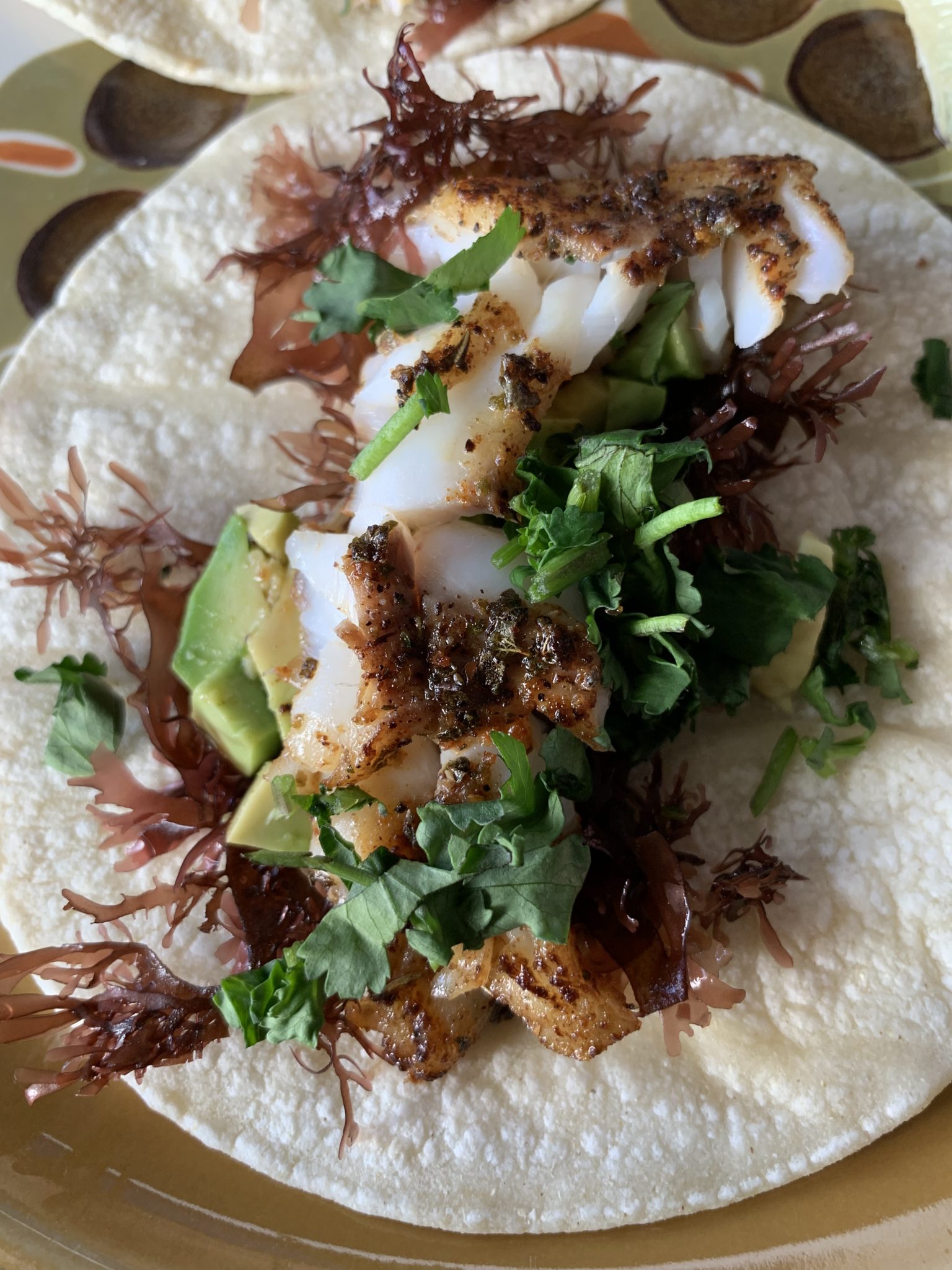 Dulse Seaweed and Rockfish Tacos