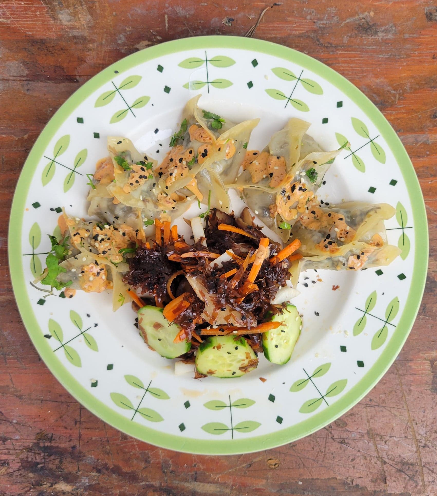 dumplings and salad 1