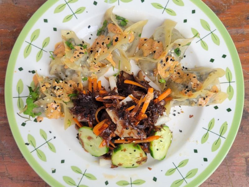 dumplings and salad