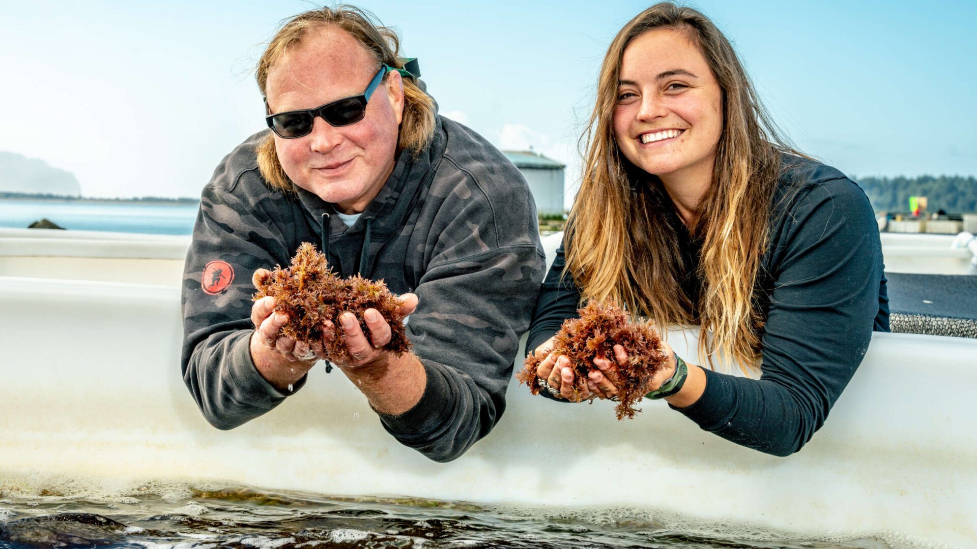 Oregon Seaweed Crop 7